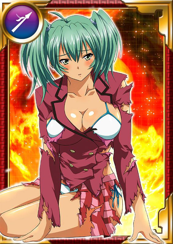 Ikkitousen Cards Coleccyion  Ryofu Housen set 811