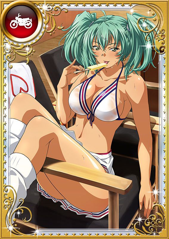 Ikkitousen Cards Coleccyion  Ryofu Housen set 818