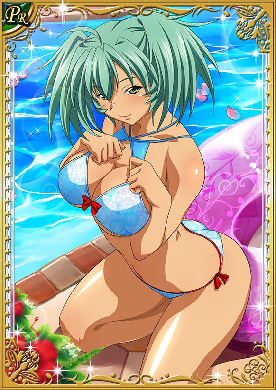 Ikkitousen Cards Coleccyion  Ryofu Housen set 82