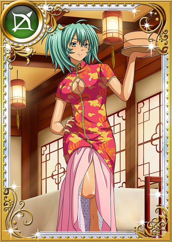 Ikkitousen Cards Coleccyion  Ryofu Housen set 820