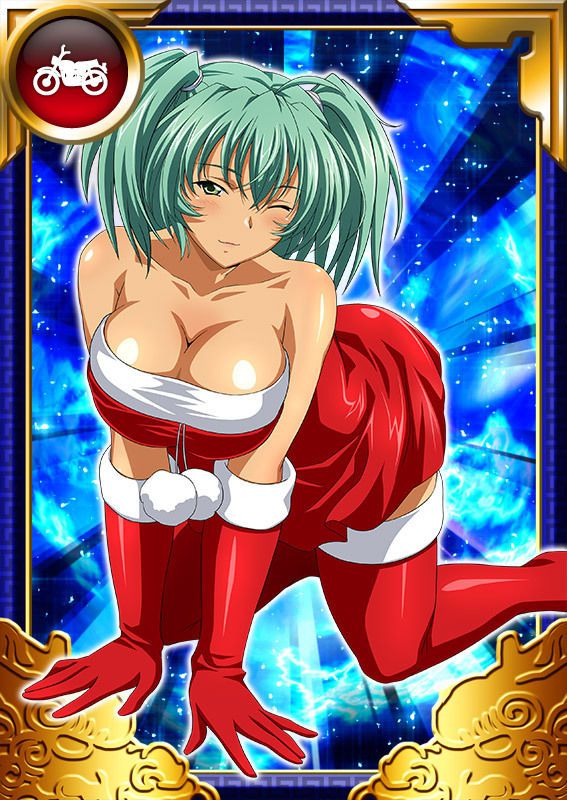 Ikkitousen Cards Coleccyion  Ryofu Housen set 824