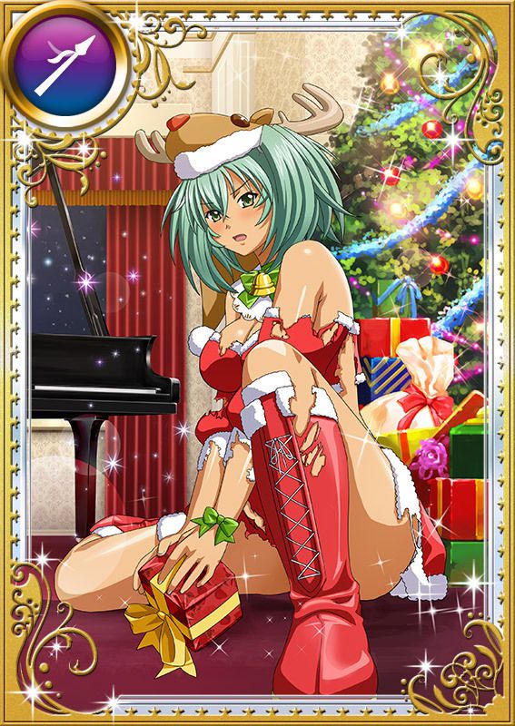 Ikkitousen Cards Coleccyion  Ryofu Housen set 826