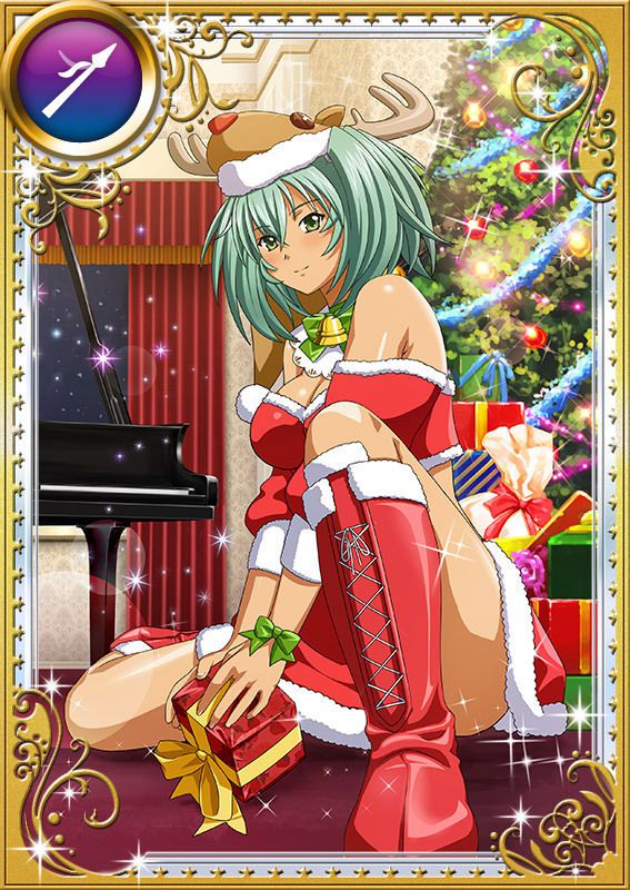 Ikkitousen Cards Coleccyion  Ryofu Housen set 827