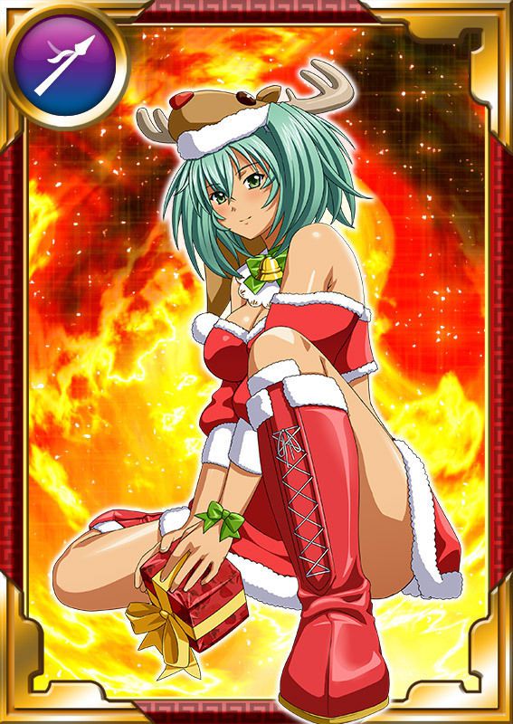 Ikkitousen Cards Coleccyion  Ryofu Housen set 828