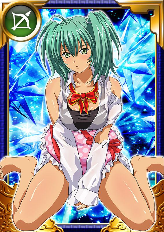 Ikkitousen Cards Coleccyion  Ryofu Housen set 832