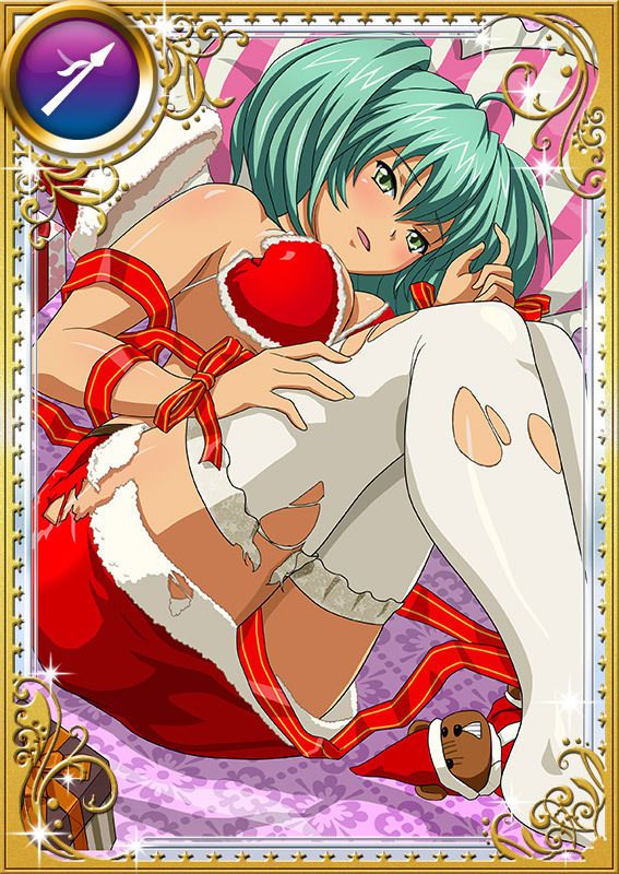 Ikkitousen Cards Coleccyion  Ryofu Housen set 841