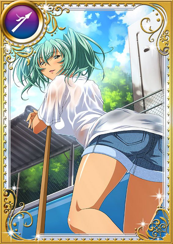 Ikkitousen Cards Coleccyion  Ryofu Housen set 844