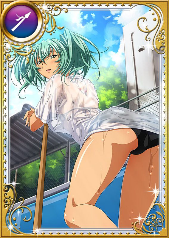 Ikkitousen Cards Coleccyion  Ryofu Housen set 845