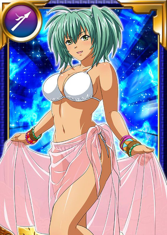 Ikkitousen Cards Coleccyion  Ryofu Housen set 846