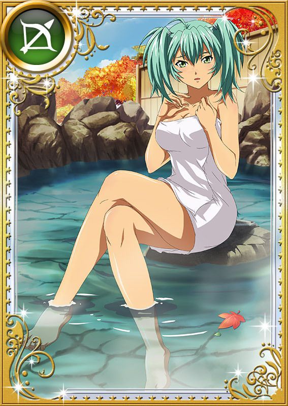 Ikkitousen Cards Coleccyion  Ryofu Housen set 848