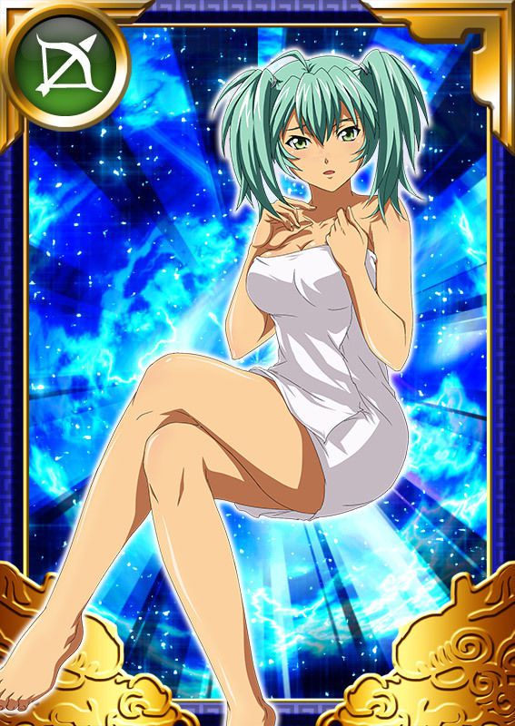 Ikkitousen Cards Coleccyion  Ryofu Housen set 850