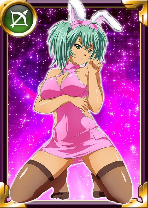 Ikkitousen Cards Coleccyion  Ryofu Housen set 851