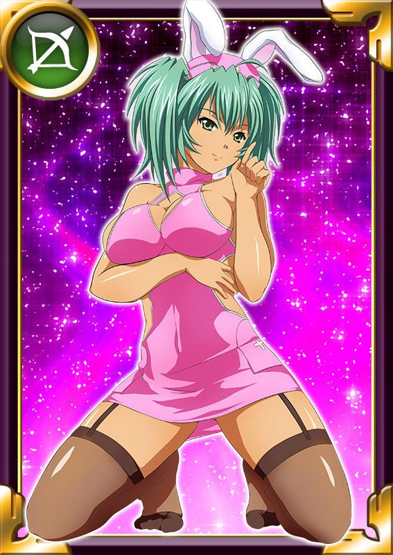 Ikkitousen Cards Coleccyion  Ryofu Housen set 852