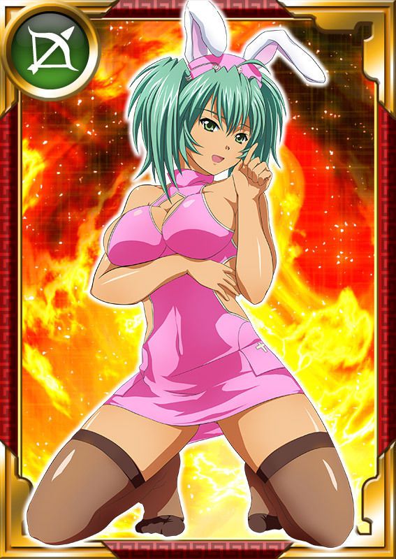 Ikkitousen Cards Coleccyion  Ryofu Housen set 853