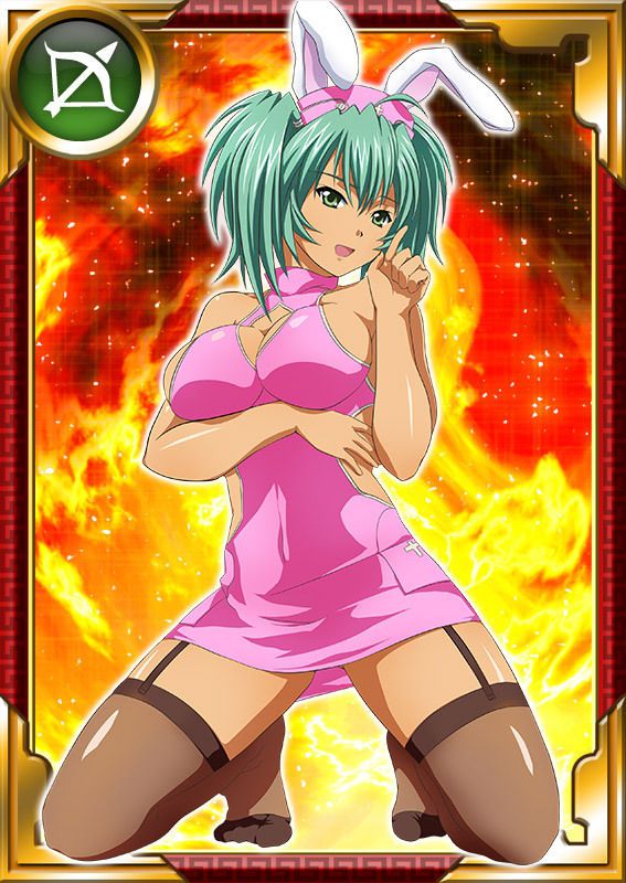 Ikkitousen Cards Coleccyion  Ryofu Housen set 854