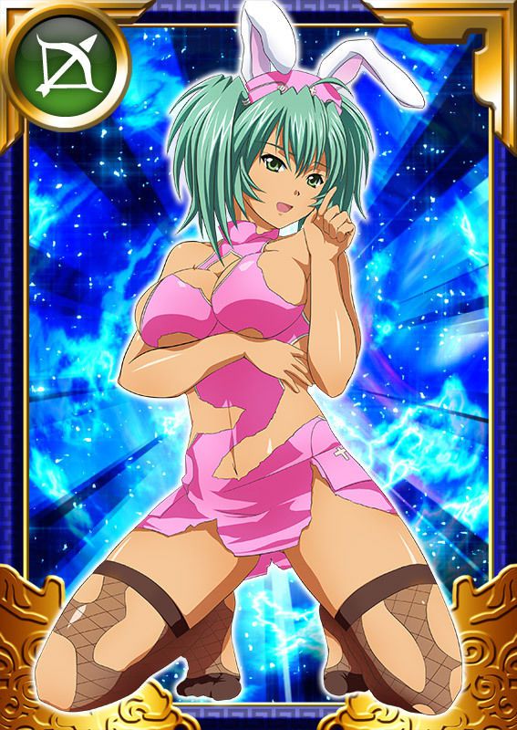 Ikkitousen Cards Coleccyion  Ryofu Housen set 855