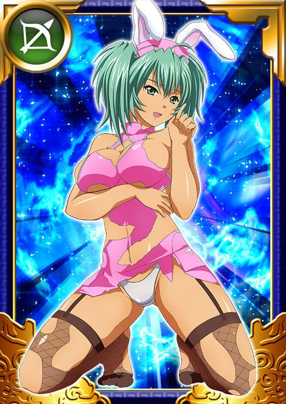 Ikkitousen Cards Coleccyion  Ryofu Housen set 856