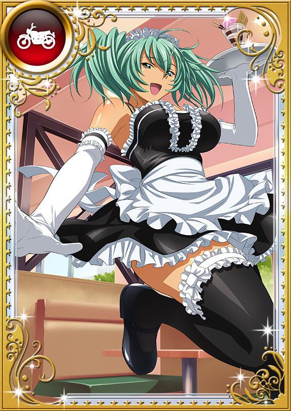 Ikkitousen Cards Coleccyion  Ryofu Housen set 860