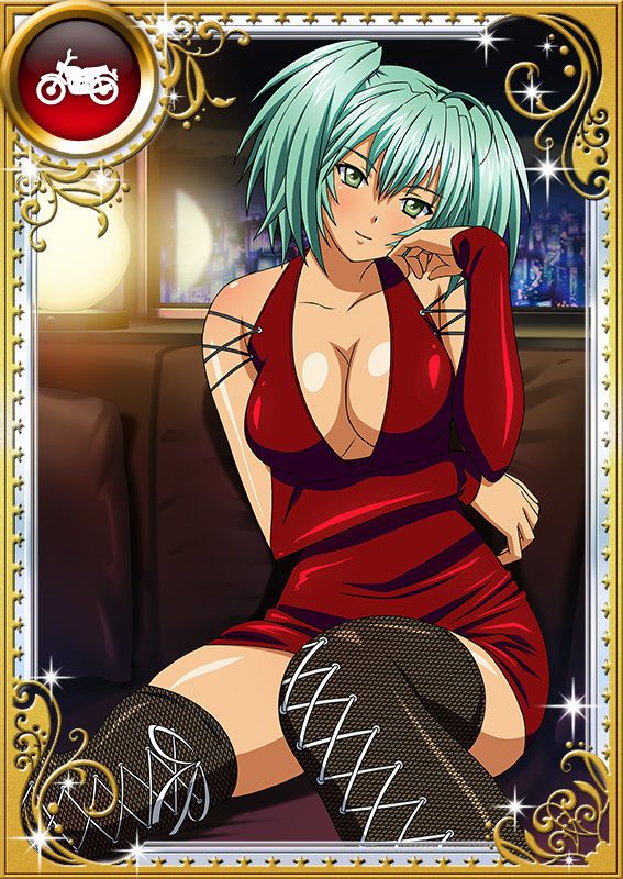 Ikkitousen Cards Coleccyion  Ryofu Housen set 864