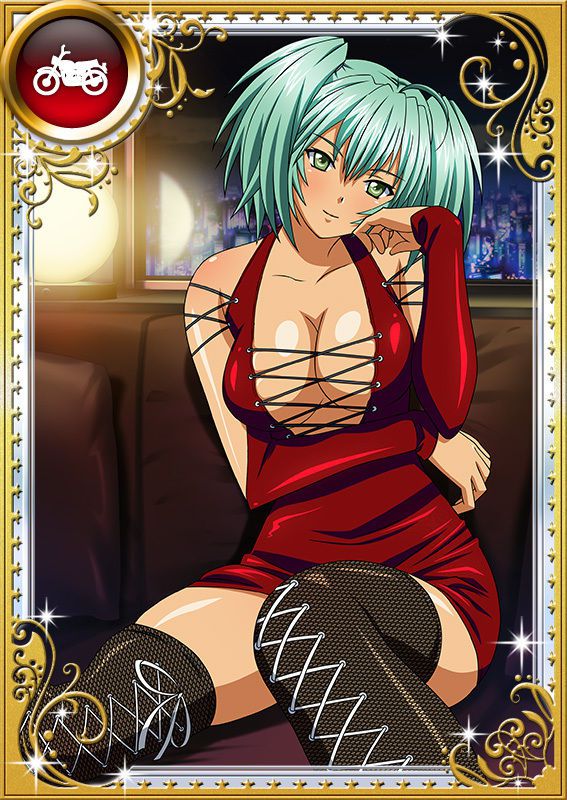 Ikkitousen Cards Coleccyion  Ryofu Housen set 865