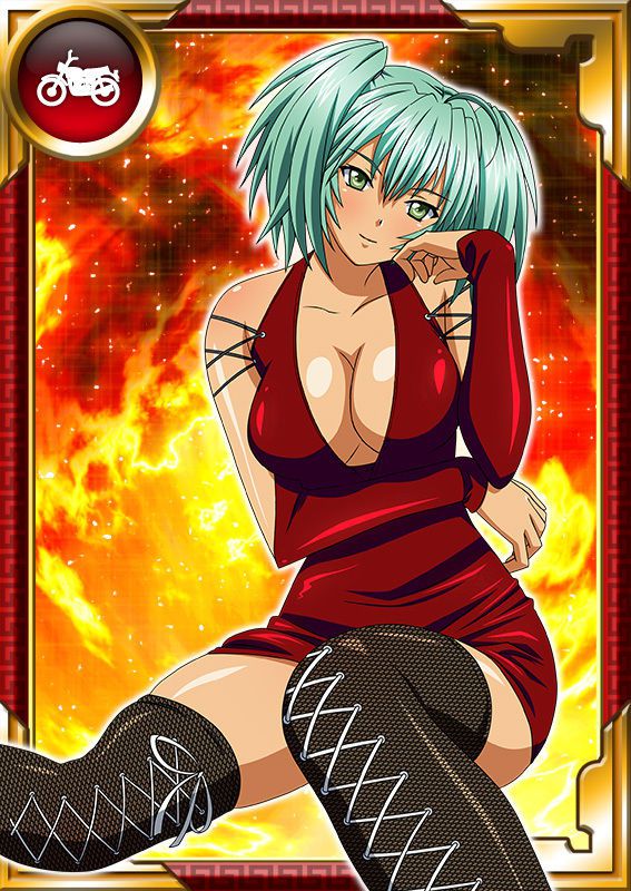 Ikkitousen Cards Coleccyion  Ryofu Housen set 866