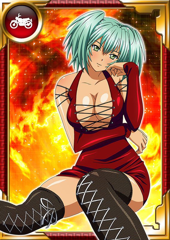 Ikkitousen Cards Coleccyion  Ryofu Housen set 867