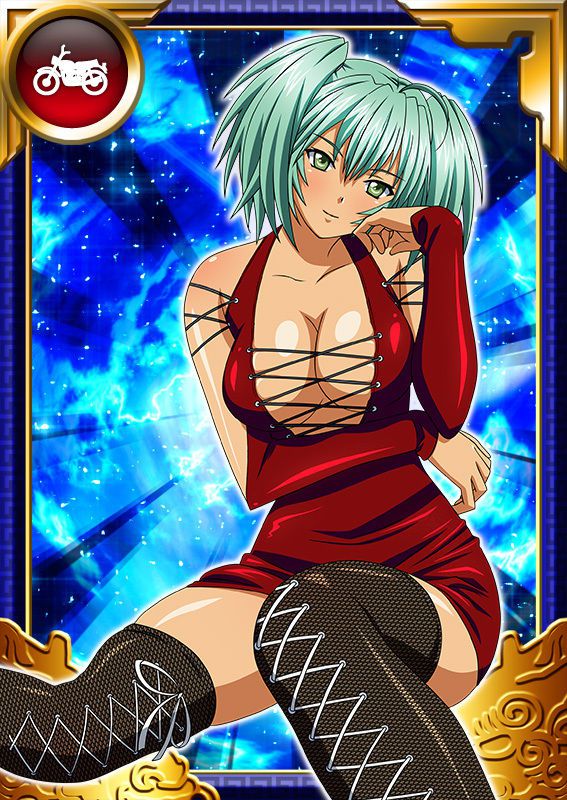 Ikkitousen Cards Coleccyion  Ryofu Housen set 869