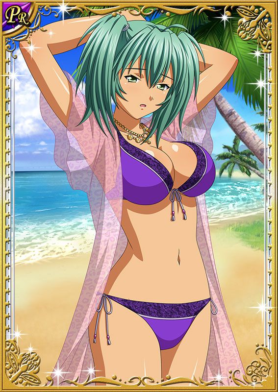 Ikkitousen Cards Coleccyion  Ryofu Housen set 87