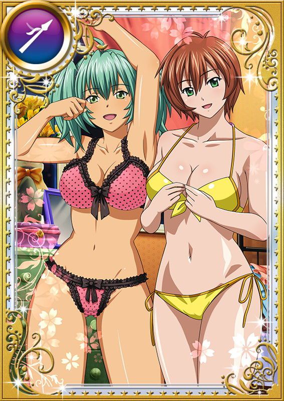 Ikkitousen Cards Coleccyion  Ryofu Housen set 873