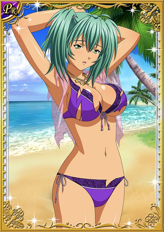 Ikkitousen Cards Coleccyion  Ryofu Housen set 88