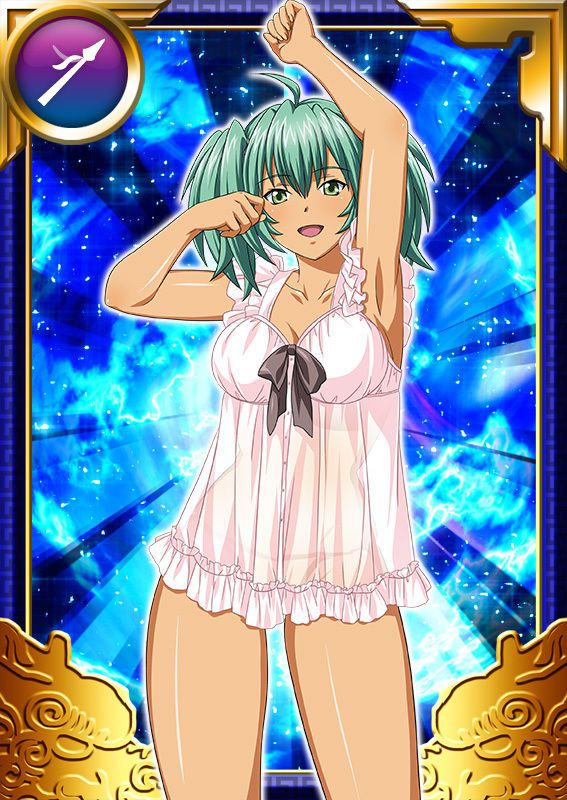 Ikkitousen Cards Coleccyion  Ryofu Housen set 880