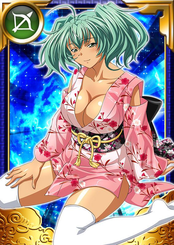 Ikkitousen Cards Coleccyion  Ryofu Housen set 881