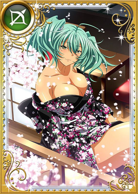 Ikkitousen Cards Coleccyion  Ryofu Housen set 882