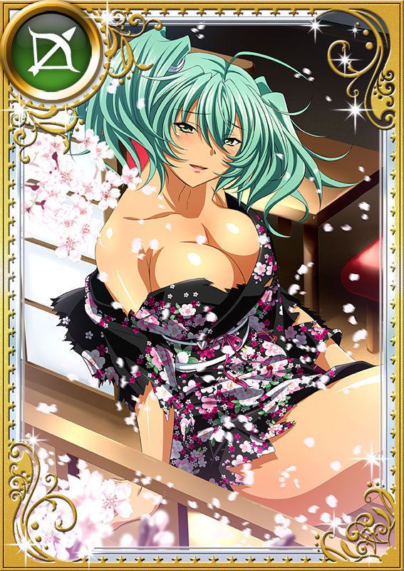 Ikkitousen Cards Coleccyion  Ryofu Housen set 883