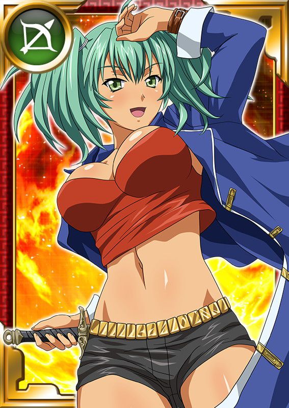 Ikkitousen Cards Coleccyion  Ryofu Housen set 884