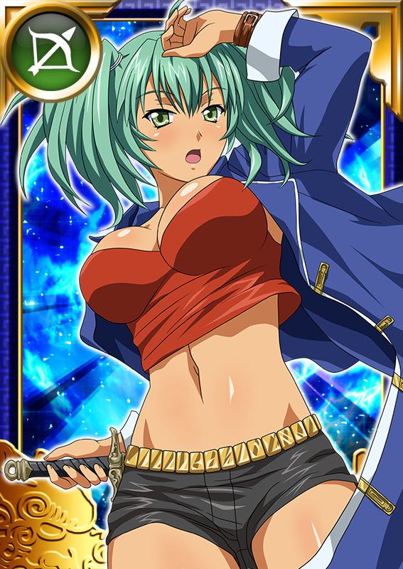 Ikkitousen Cards Coleccyion  Ryofu Housen set 885