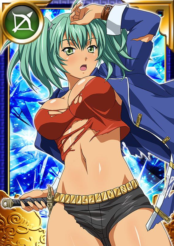 Ikkitousen Cards Coleccyion  Ryofu Housen set 886