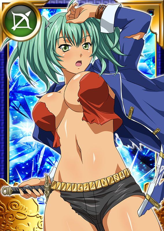 Ikkitousen Cards Coleccyion  Ryofu Housen set 887