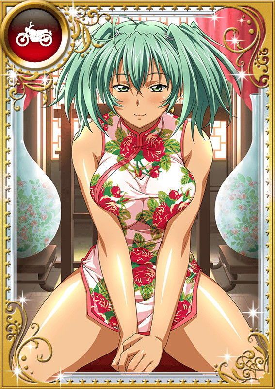 Ikkitousen Cards Coleccyion  Ryofu Housen set 890