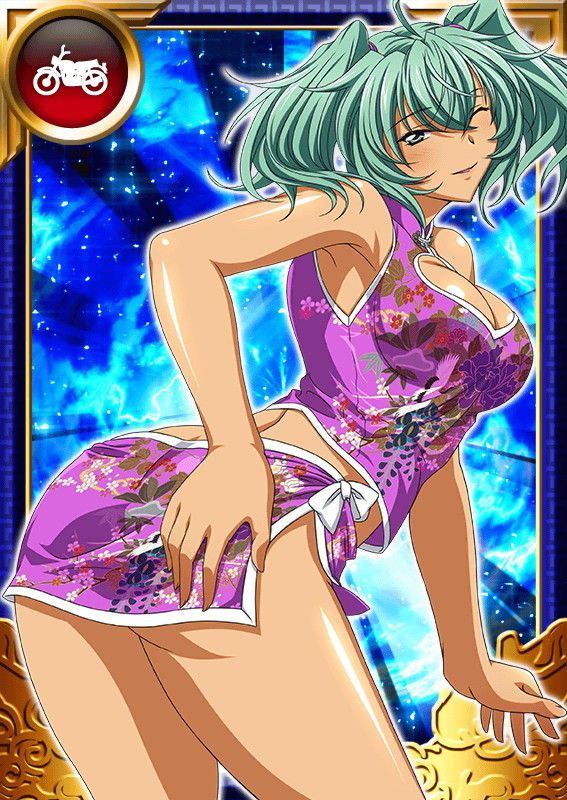 Ikkitousen Cards Coleccyion  Ryofu Housen set 891