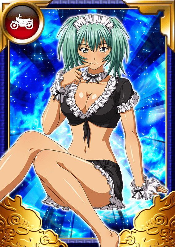 Ikkitousen Cards Coleccyion  Ryofu Housen set 893