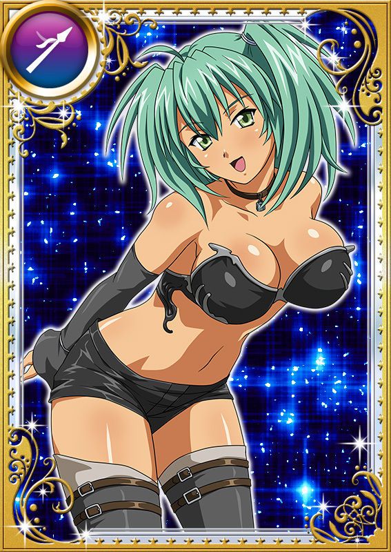 Ikkitousen Cards Coleccyion  Ryofu Housen set 895