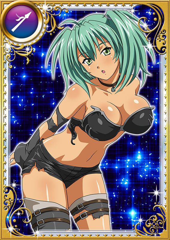 Ikkitousen Cards Coleccyion  Ryofu Housen set 896