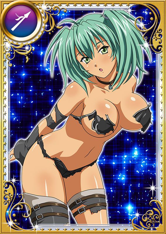 Ikkitousen Cards Coleccyion  Ryofu Housen set 897