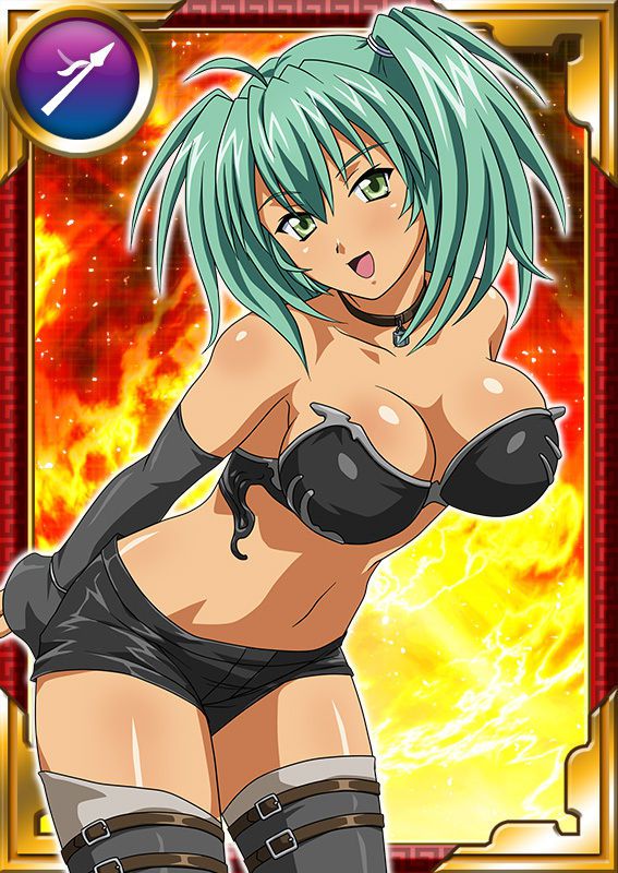 Ikkitousen Cards Coleccyion  Ryofu Housen set 898