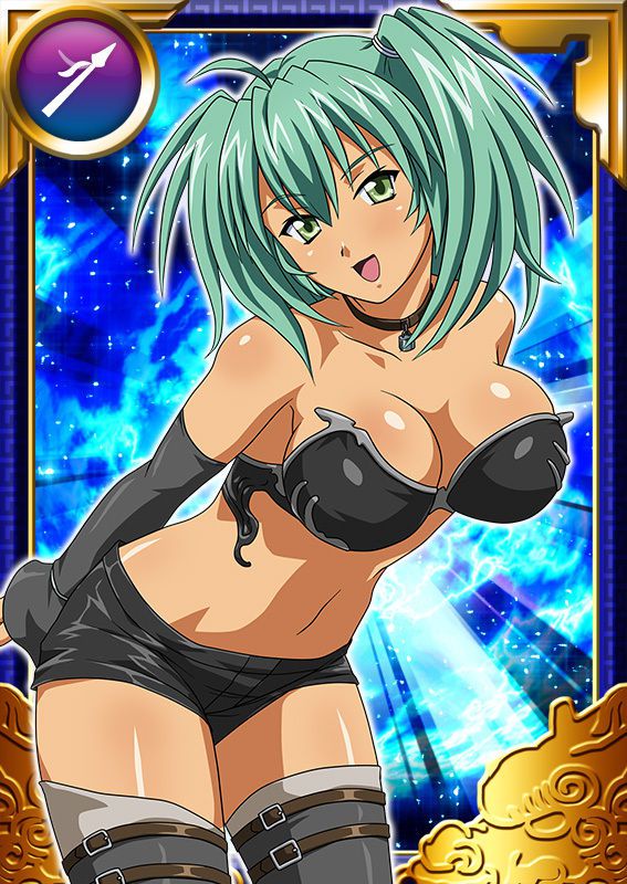 Ikkitousen Cards Coleccyion  Ryofu Housen set 899