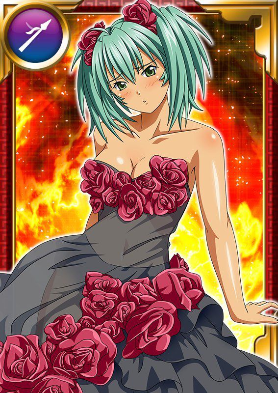 Ikkitousen Cards Coleccyion  Ryofu Housen set 902