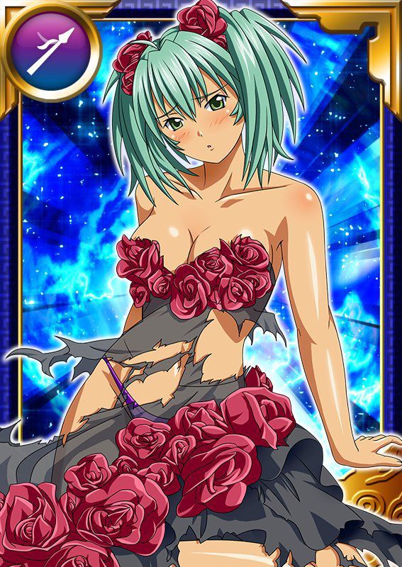 Ikkitousen Cards Coleccyion  Ryofu Housen set 905