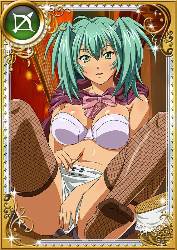 Ikkitousen Cards Coleccyion  Ryofu Housen set 906