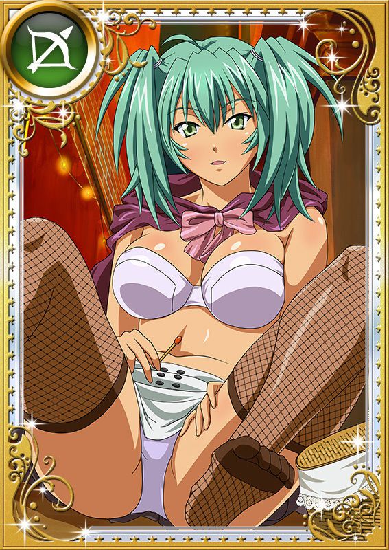 Ikkitousen Cards Coleccyion  Ryofu Housen set 907